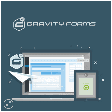 gravityfoam Gravity Forms WordPress Plugin