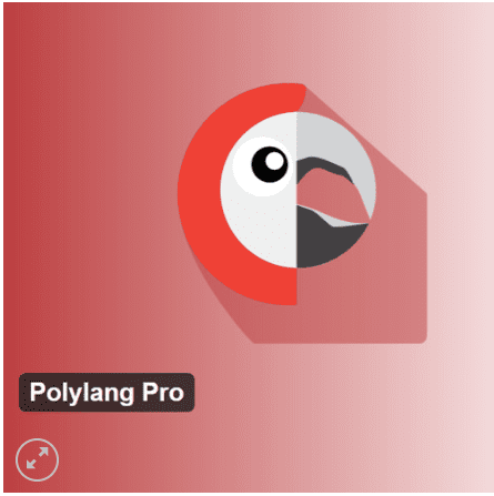polylang Polylang Pro